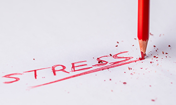 Stress Awareness month's top picks 
